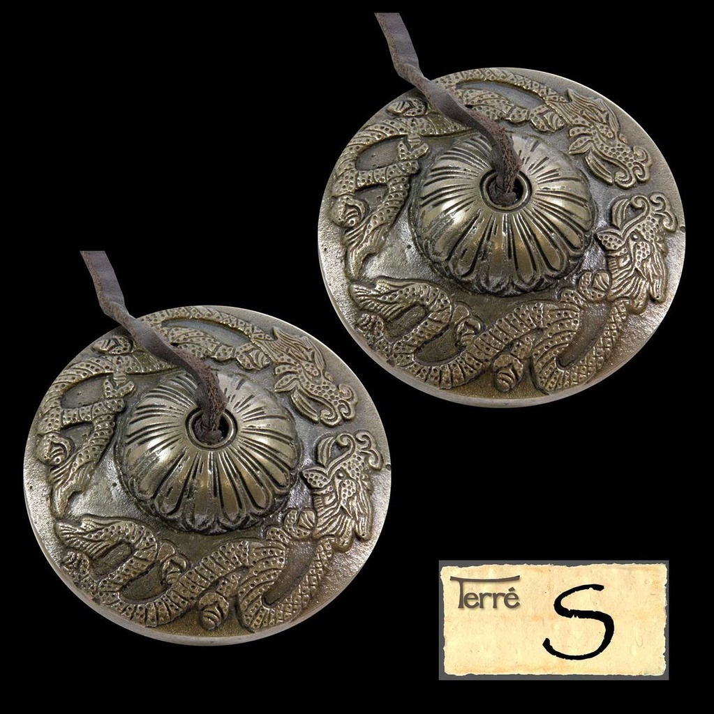 Terre Cymbal Dragon S