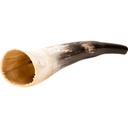Terre Polished Cow Horn