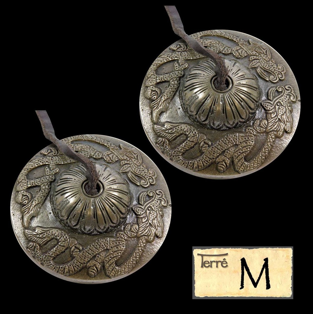 Terre Cymbal Dragon M