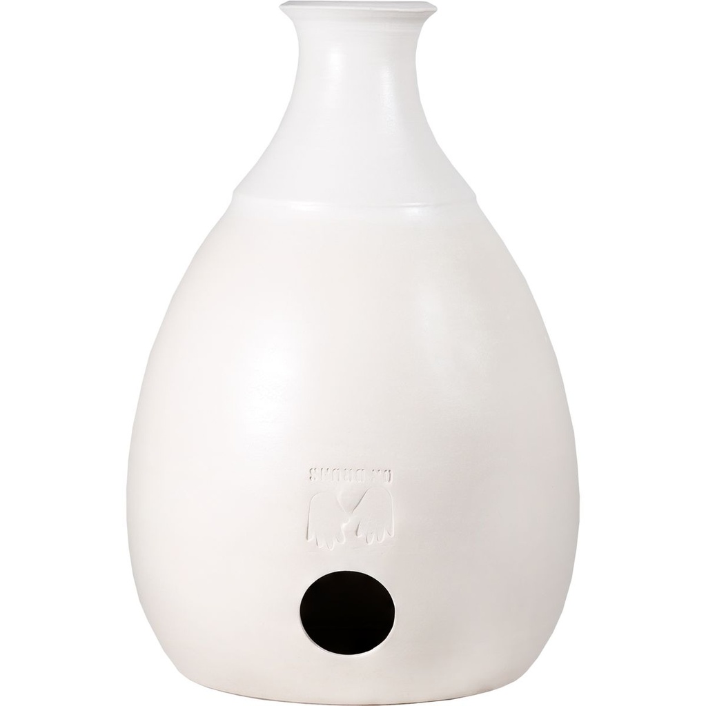 Terre Cajudoo Standard 7inch