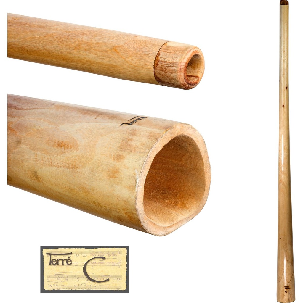 Terre Didge L-Pro Mahogany C