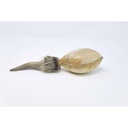 Terre Shamanshaker Deer Antlers M Rain