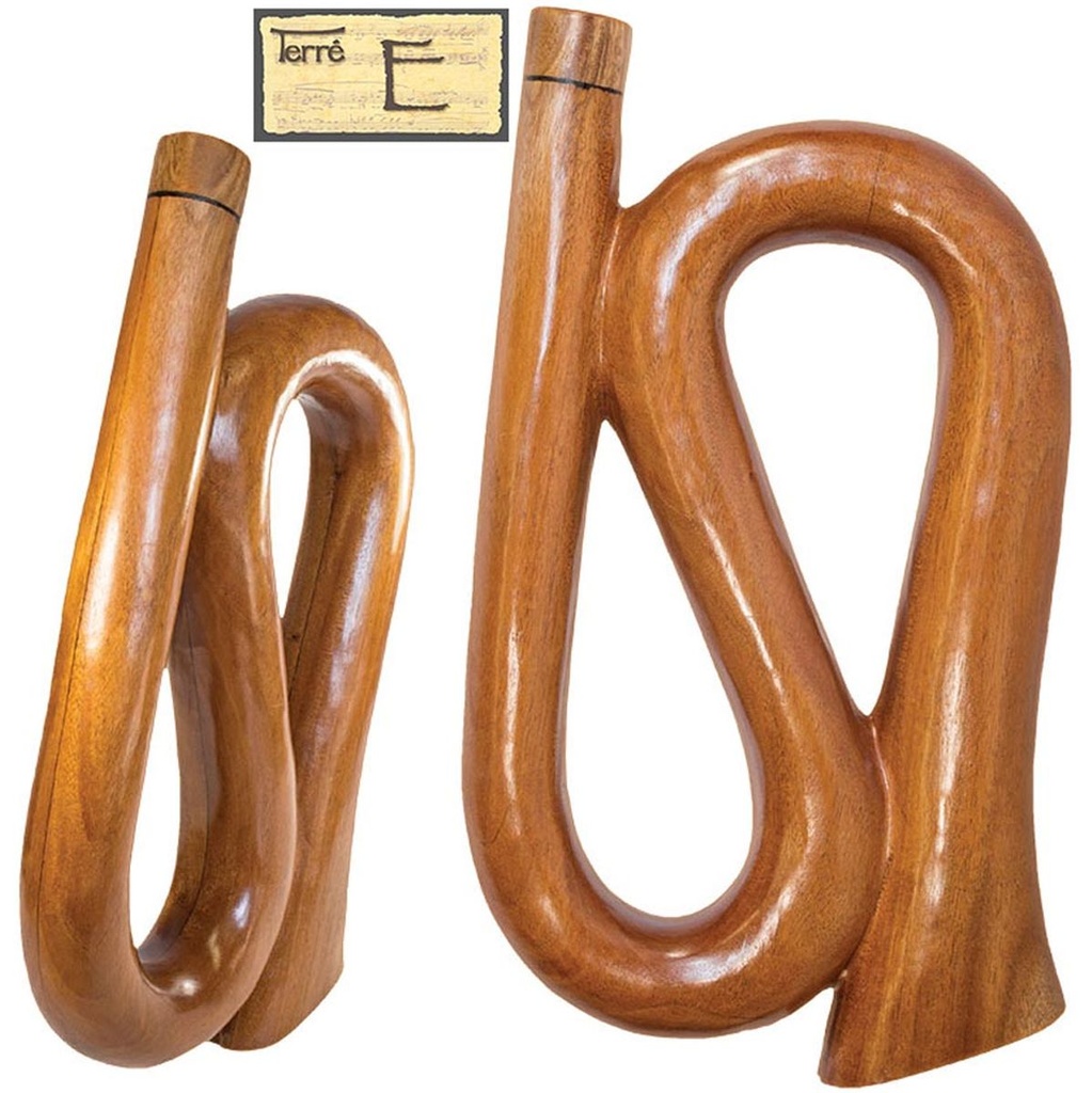 Terre Reisedidge Saxophone E