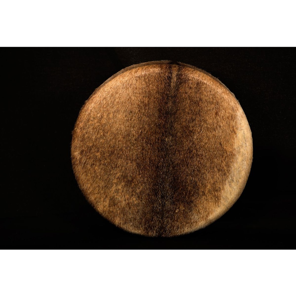 Terre Shaman Drum Goat Skin Tree 40cm
