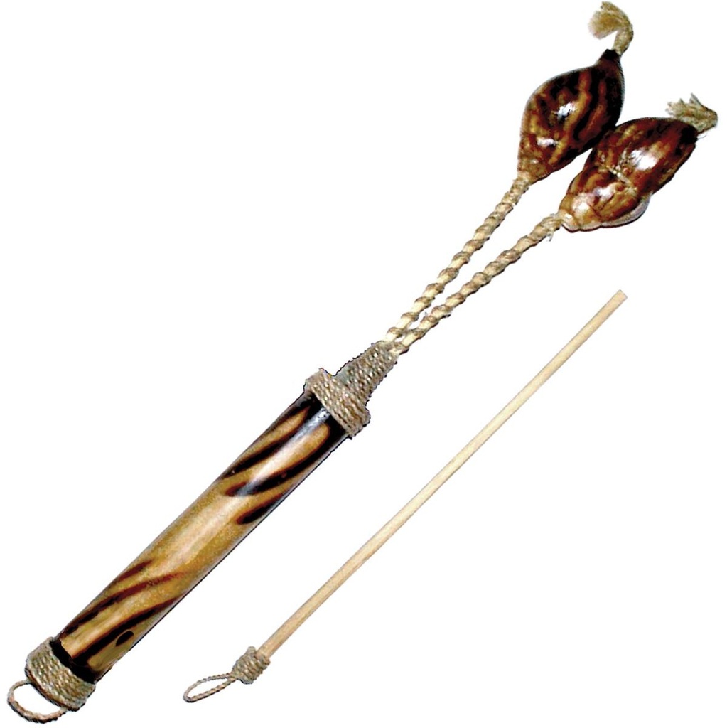 Terre Snail Castanet