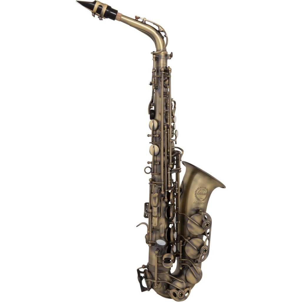 Ida Maria Grassi Academy Eb Alto Sax Bronzed GR ACAS300BR
