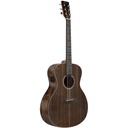 Charlesville E-Acoustic GA-AWL-E