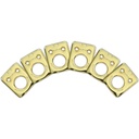 Graph Tech Ratio Plate For Fender Style 2 Pin Hole - Gold