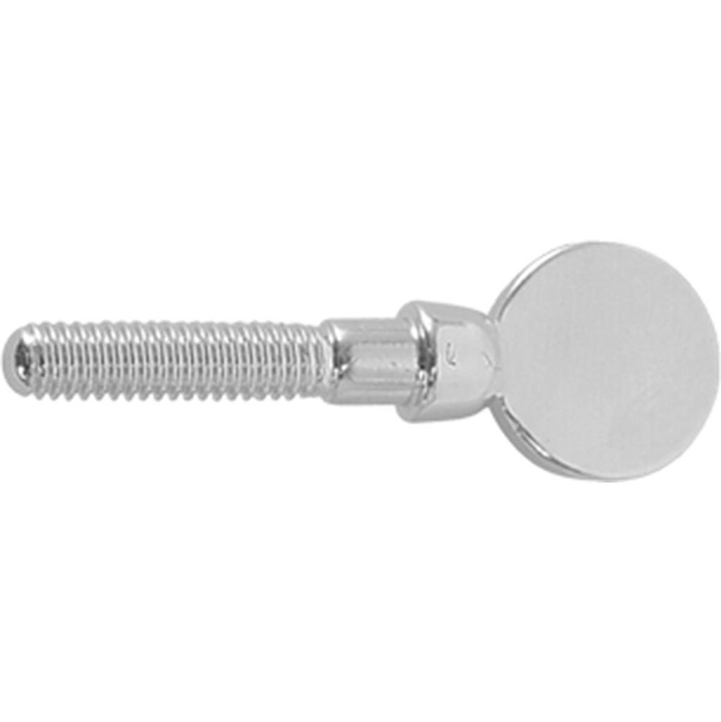 BG France Ligature Screw A-SSP
