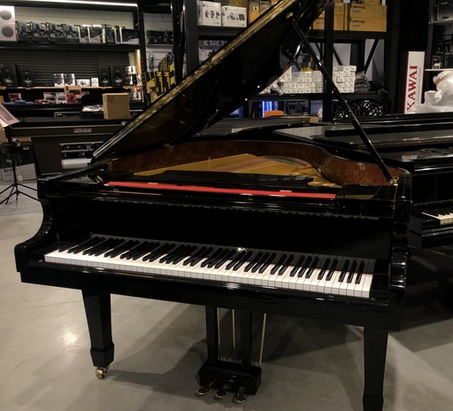 [ROLI] ROLINDA Vleugel Zwart Hoogglans tweedehands