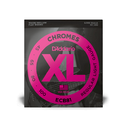 [ECB81] D'Addario ECB81 Flat Wound 45-100