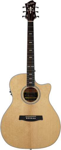 [HSSIG2CE-2] Hagstrom Sigra II Grand Auditorium, Natuur