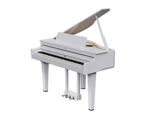 [GP6-PW] Roland GP6 PW Showroom Model