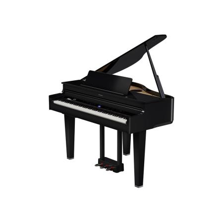 [GP6-PE] Roland GP6 PE