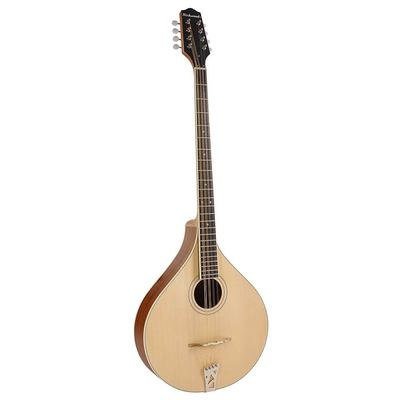 [8719147412813] Richwood Ierse Bouzouki RIBZ-40
