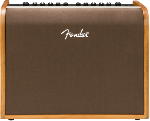 Fender Acoustic 100