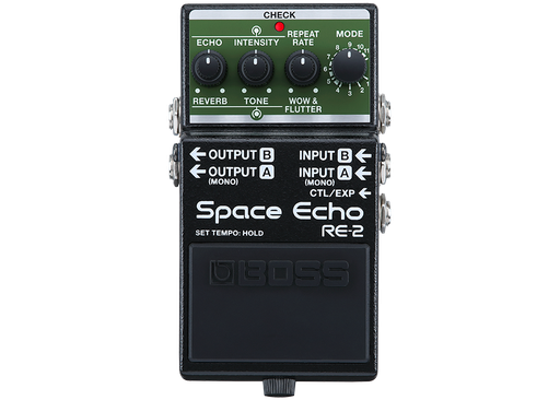 [RE-2] Boss RE2 Space Echo