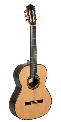 Paco Castillo 205