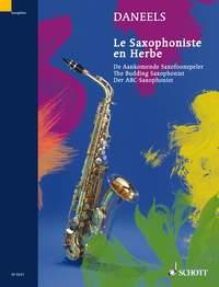 De Aankomende Saxofoonspeler - Daneels