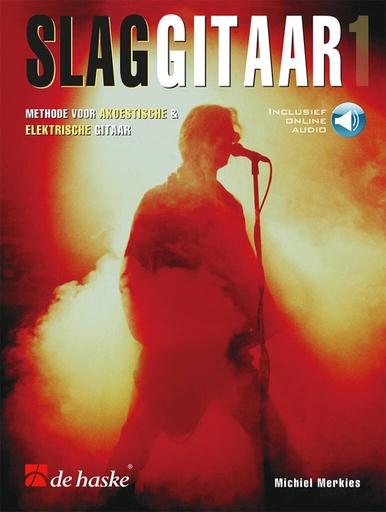 Slaggitaar 1 - Merkies
