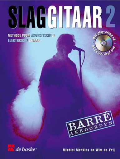 Slaggitaar 2 - Merkies 