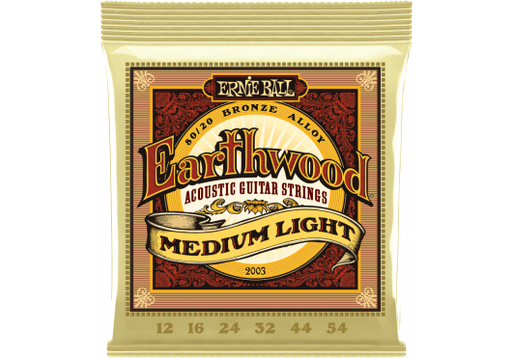 [EB 2003] Ernie Ball 2003 Earthwood Medium Light 
