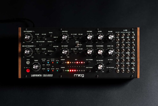 Moog Labyrinth