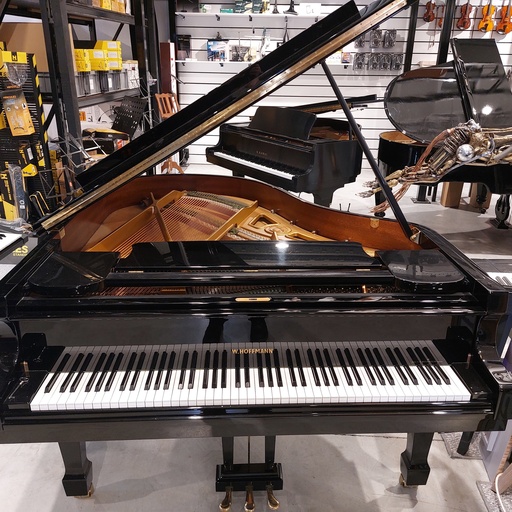 W. Hoffmann T177 Ebony Polished (tweedehands-8/2017)