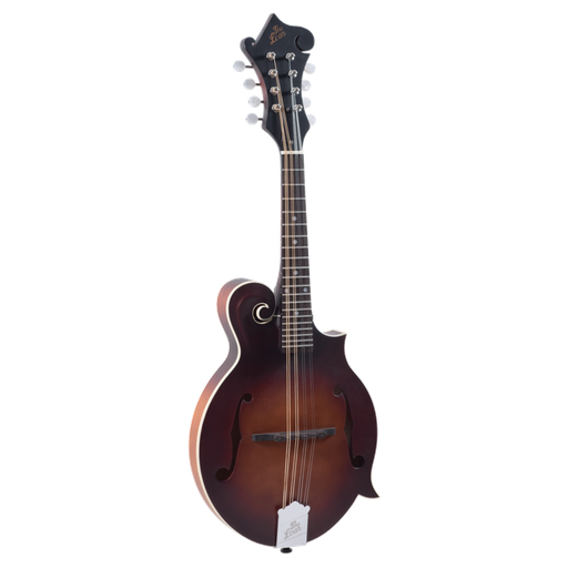 [TL107668] The Loar LM-310F-BRB