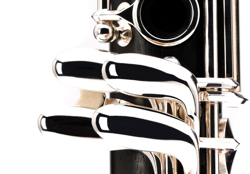 [BC2501N-5-0GB] Buffet Crampon BC2501-2-0GB E11 17/6