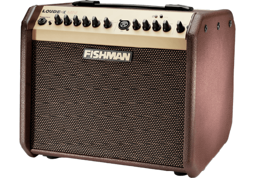 [PRO-LBT-500] Fishman Loudbox Mini 