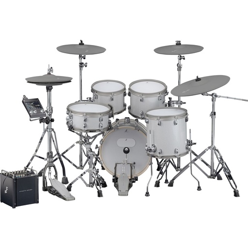 [EFDPRO5-STDSET-WS501] EFNOTE Pro 501