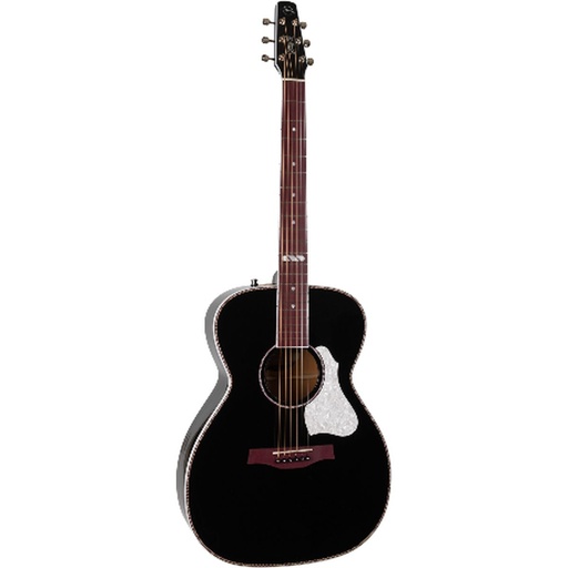[G050574F] Godin Artist Limited Tuxedo Black EQ