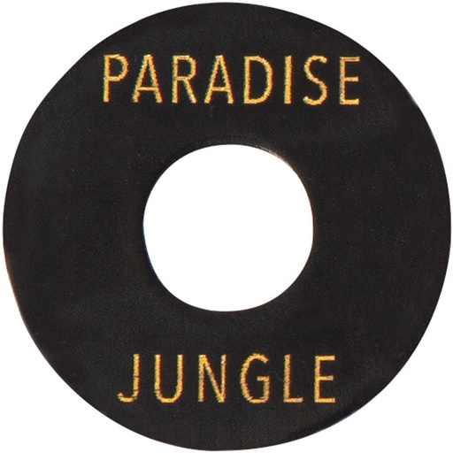 [JDC08] Joe Doe Poker Chip In Aged Black - Paradise - Jungle