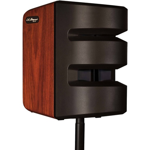 [LR106599] LR Baggs Synapse