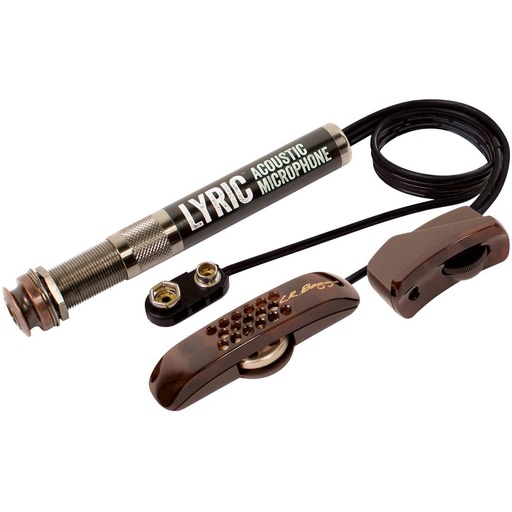 [LR106432] LR Baggs Lyric