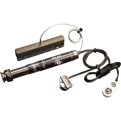 [LR106416] LR Baggs Ibeam-C