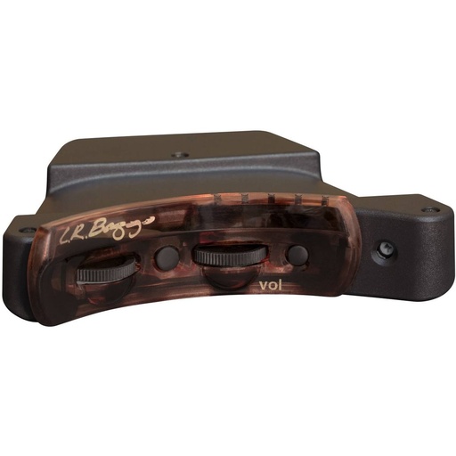 [LR106516] LR Baggs Session VTC