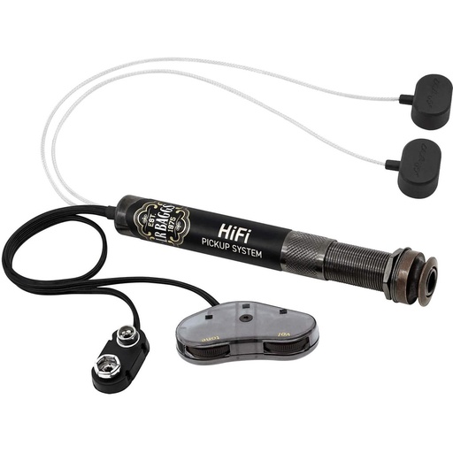 [LR115541] LR Baggs Hifi
