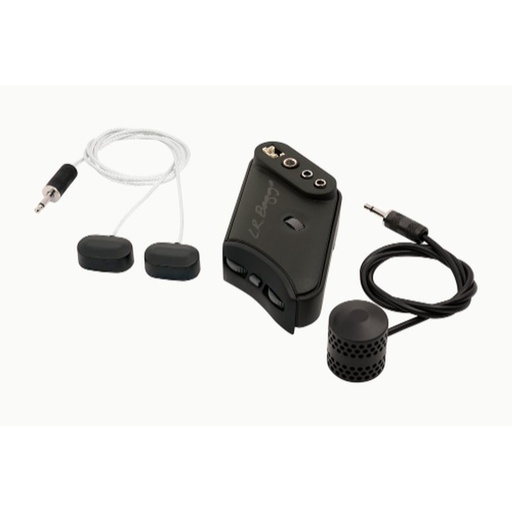 [LR118971] LR Baggs HiFi Duet