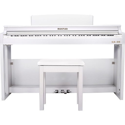 [MP117967] MIDIPLUS EA-30