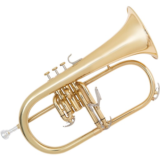 [OFG1000] Odyssey Debut Flugel Horn Wcase