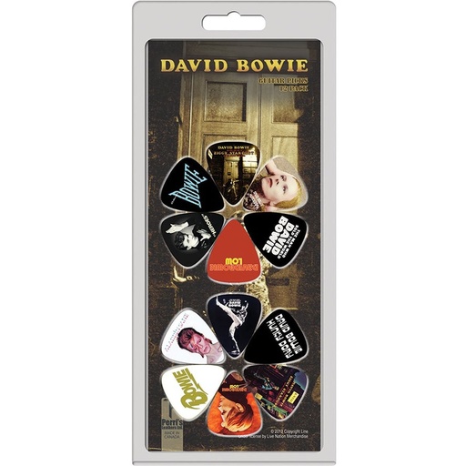 [LP12-DB1] Perris 12 Pack David Bowie Covers Picks