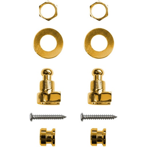 [RI117437] Richter Strap Lock Set Gold