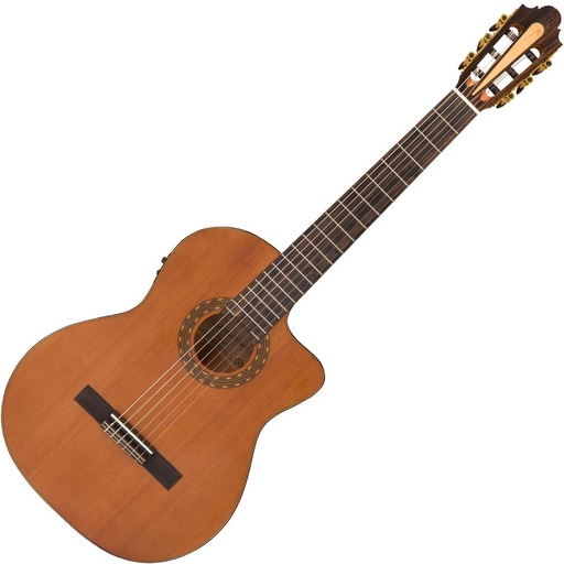 [SM500CE] Santos Martinez Allegro Electro CA Fusion Classic