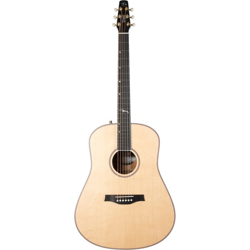 [G050536] Seagull Artist Mosaic EQ