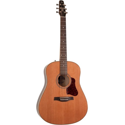 [G042494] Seagull Coastline Momentum HG A/E