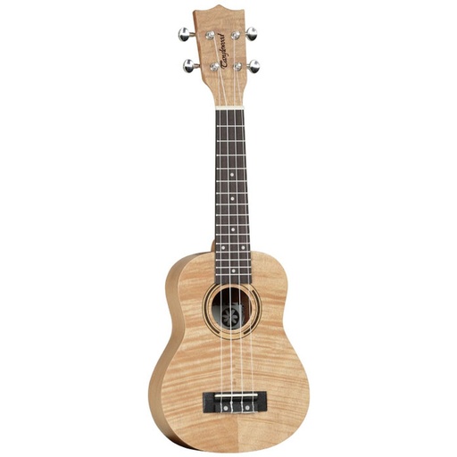 [TWT5] Tanglewood Tiare T5