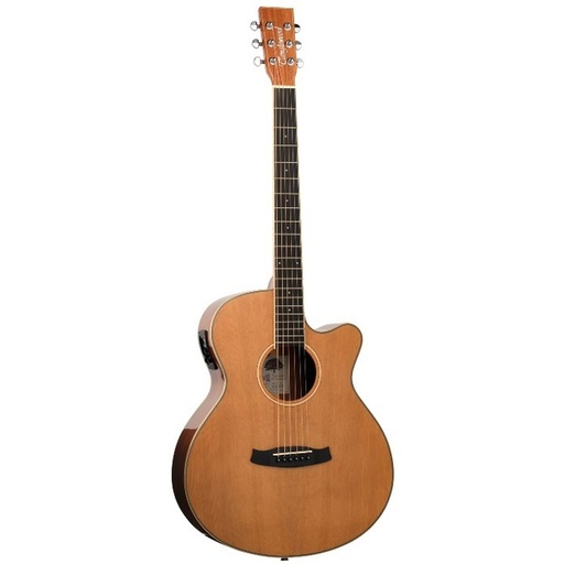 [TW4 CE NA] Tanglewood Winterleaf TW4 Ce Na