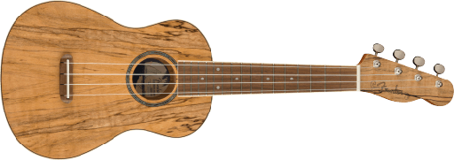 Fender Zuma Exotic Concert Ukulele, Walnut Fingerboard, Spalted Maple